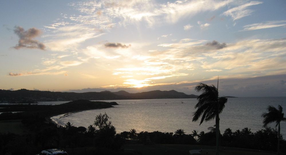 4-5-2010.jpg