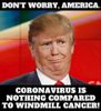 donaldtrump-quarantine-memes-marvel-rneme.com17 (1).jpg