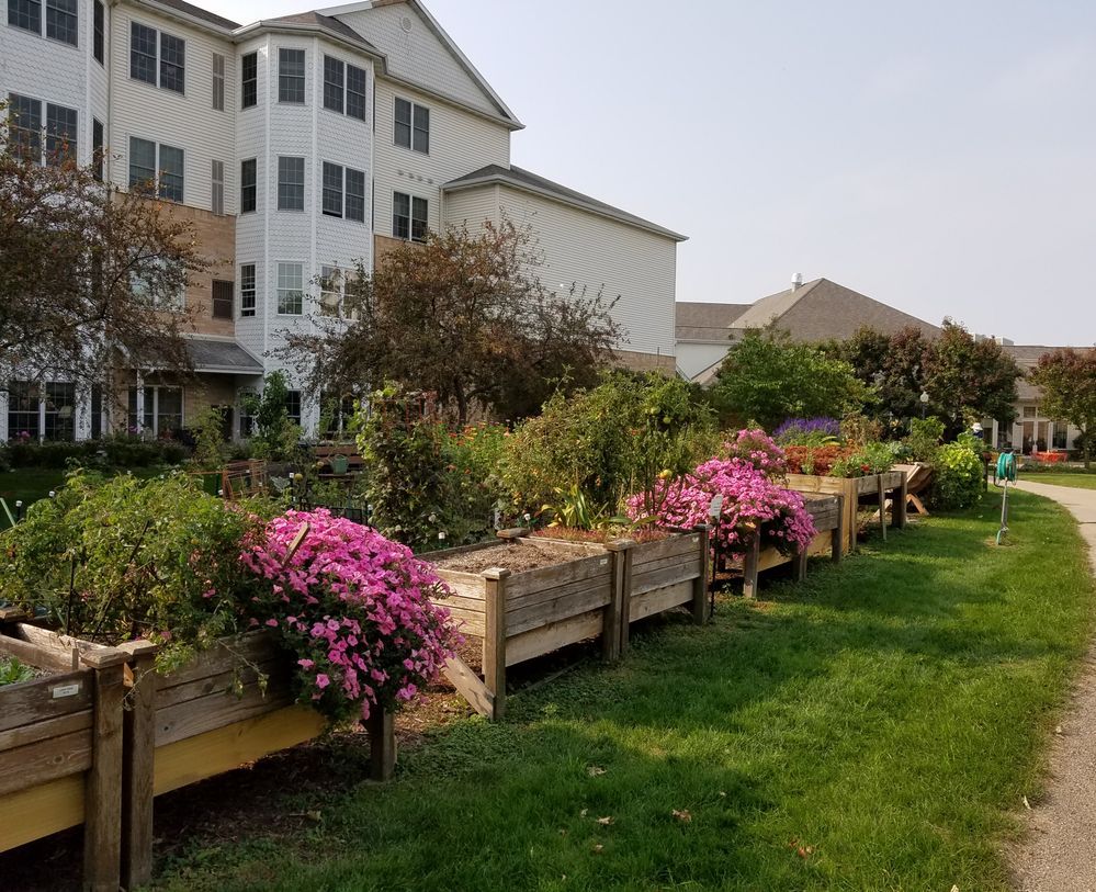 Raised gardens on the grounds