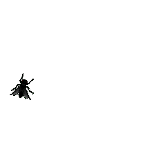 AnnoyingFlyAlert.gif