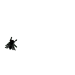 AnnoyingFlyAlert.gif