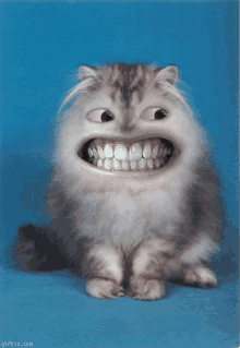 cat with teeth.gif