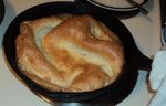 Yorkies_in_cast_iron_frypan.jpeg