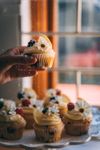 pexels-photo-4099126.jpeg