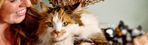 welcome-to-village-cat-clinic.jpg