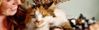 welcome-to-village-cat-clinic.jpg