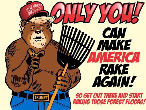 Rake.jpg