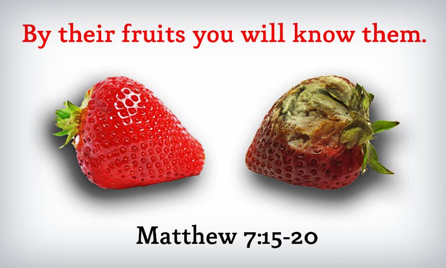 Mathew_7_15_20.jpg