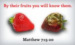 Mathew_7_15_20.jpg