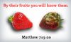 Mathew_7_15_20.jpg