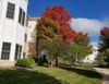 20201004_110627.jpg
