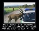 police report.jpg