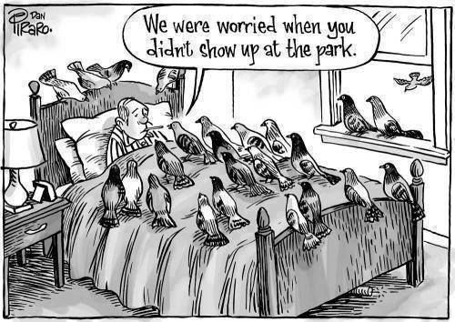 park birds.jpg