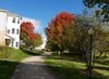 20201004_110722.jpg