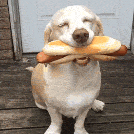 giphy (7).gif