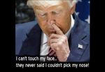 meme-nose-pick-1.jpg