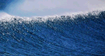 source (2).gif