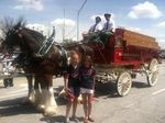 twins w clydesdales.jpg