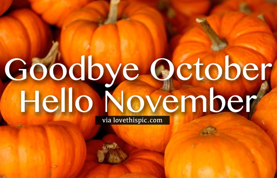 341061-Pumpkin-Squash-Goodbye-October-Hello-November-Quote.jpg