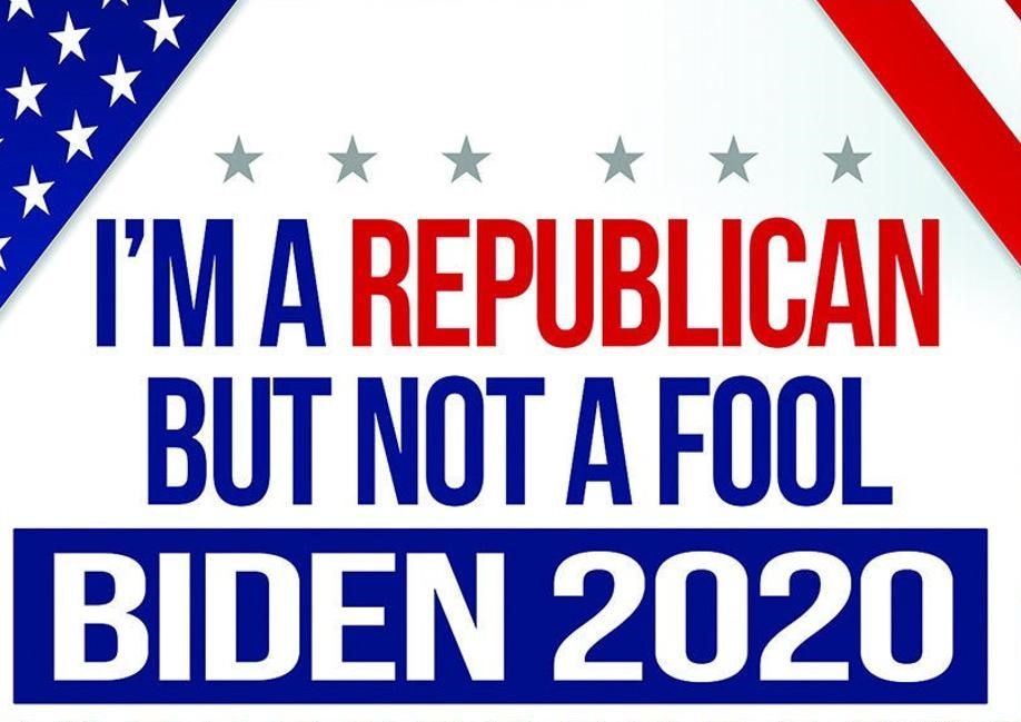 not a fool.jpg
