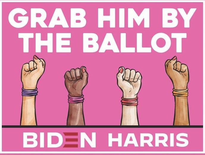 Vote 2020 save by the ballot.jpg