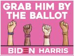 Vote 2020 save by the ballot.jpg