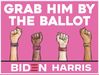 Vote 2020 save by the ballot.jpg