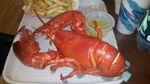 lobster.jpg
