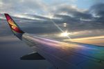 IMG_4933tail.jpg