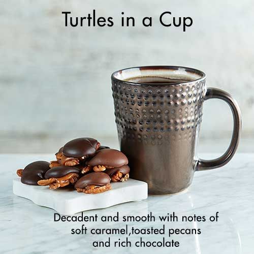 glam-turtles-coffee_500.jpg