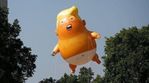 ct-met-baby-trump-balloon-womens-march-20180924.jpg