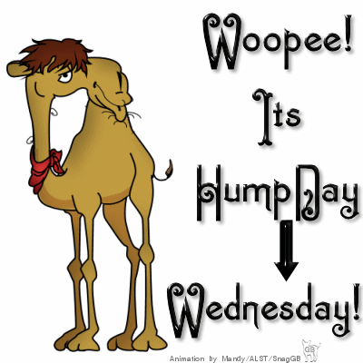 250390-Woopee-It-s-Hump-Day-Wednesday.gif