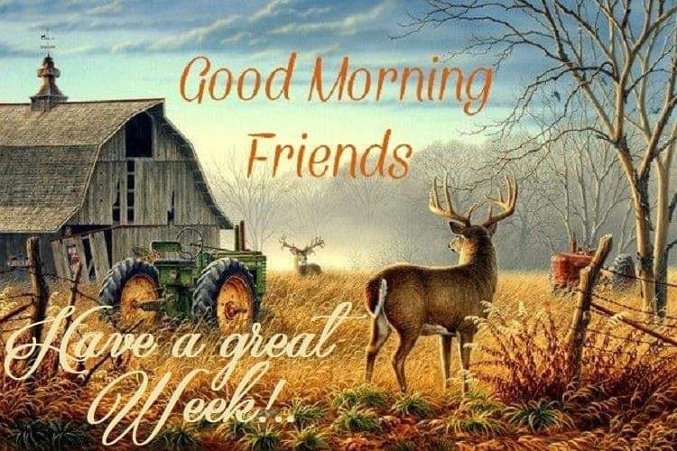 FB_IMG_1541457596488.jpg