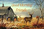 FB_IMG_1541457596488.jpg