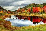 gettyimages-647676896.jpg