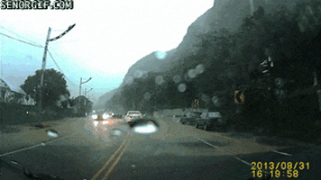 200 (4).gif