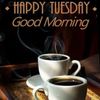 FB_IMG_1542120235998.jpg