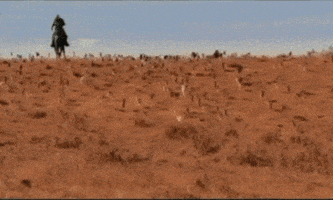 200 (5).gif