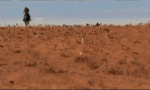 200 (5).gif