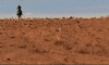 200 (5).gif