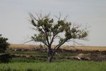 2014 07 12 Kansas.JPG