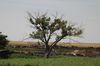 2014 07 12 Kansas.JPG