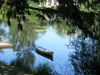 DSCN1408.JPG