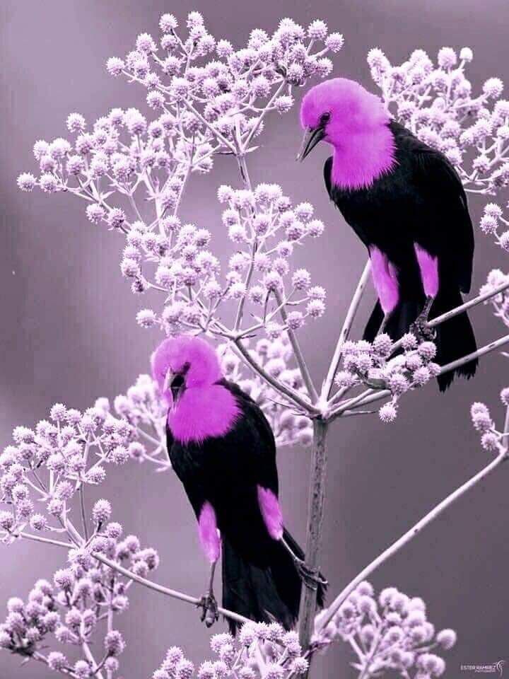 91829775_10221857322492116_2769094647002169344_n.jpg