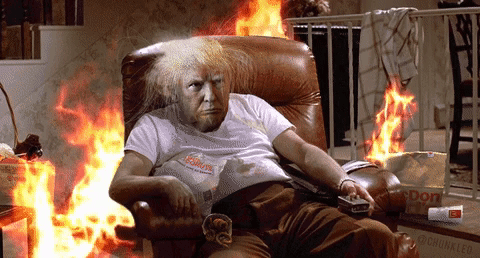 trumpgif.gif