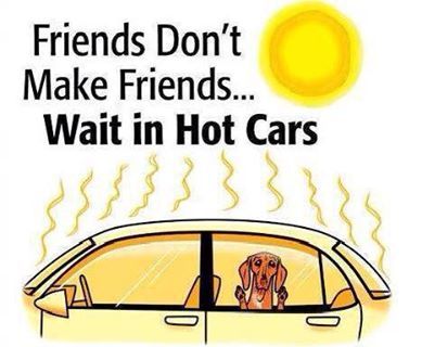 Wait-n-HotCars.jpg