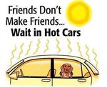 Wait-n-HotCars.jpg