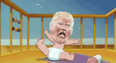 giphy12.gif