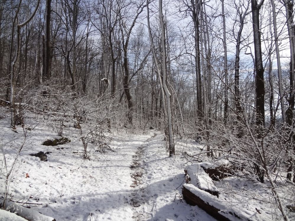 Down the frozen AT