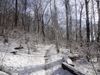 Down the frozen AT